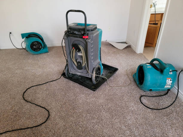 Best Water damage cleanup near me  in Graysville, AL