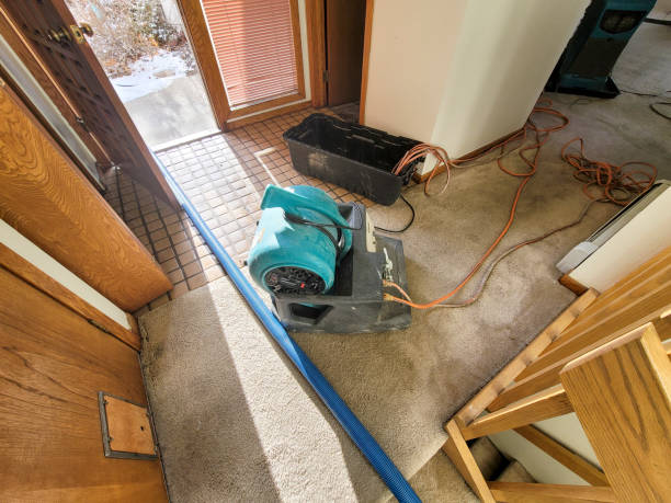 Best 24/7 water damage repair  in Graysville, AL