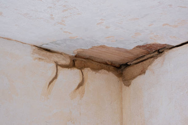 Best Sewage cleanup and water damage restoration  in Graysville, AL