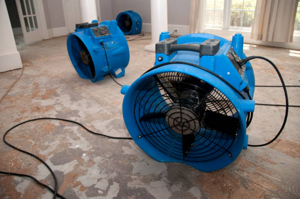 Trusted Graysville, AL Water damage restoration Experts