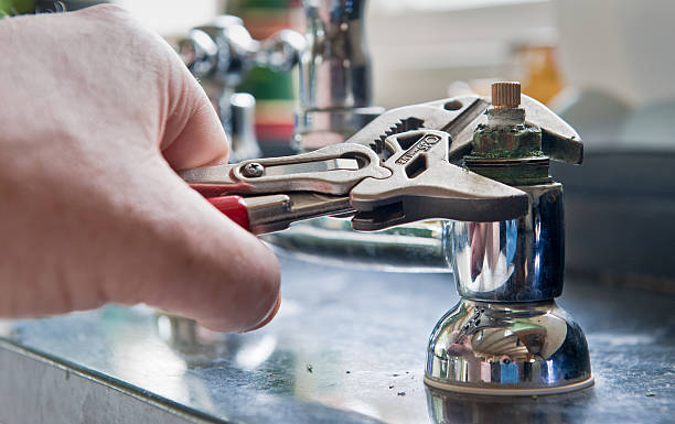 Best Mold removal after water damage  in Graysville, AL