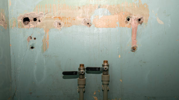Best Water damage restoration near me  in Graysville, AL