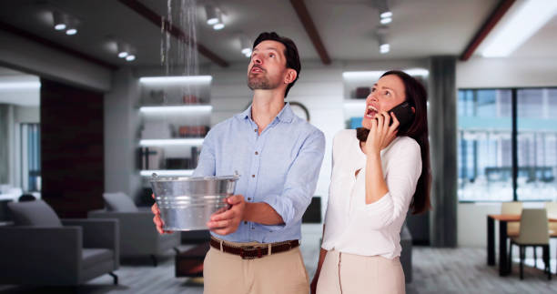 Best Basement water damage restoration  in Graysville, AL